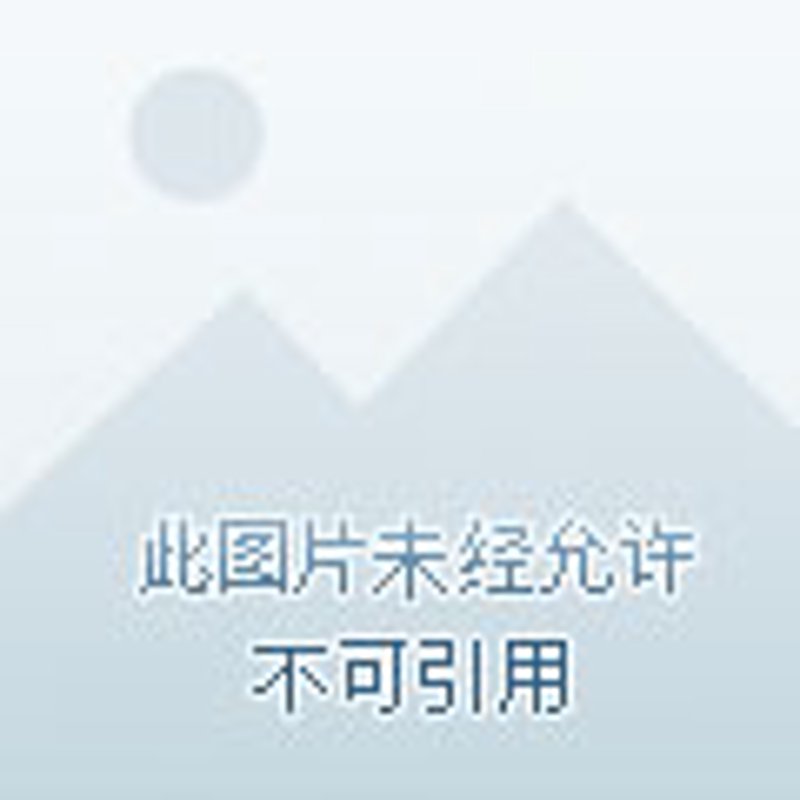展览与空间：构建独特的展示体验